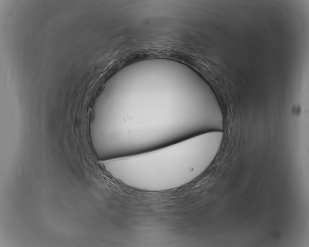 X0000111781057200907230944