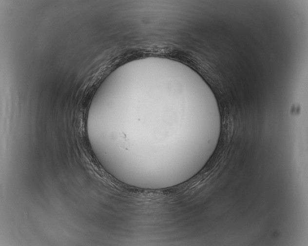 X0000111781058200907230944