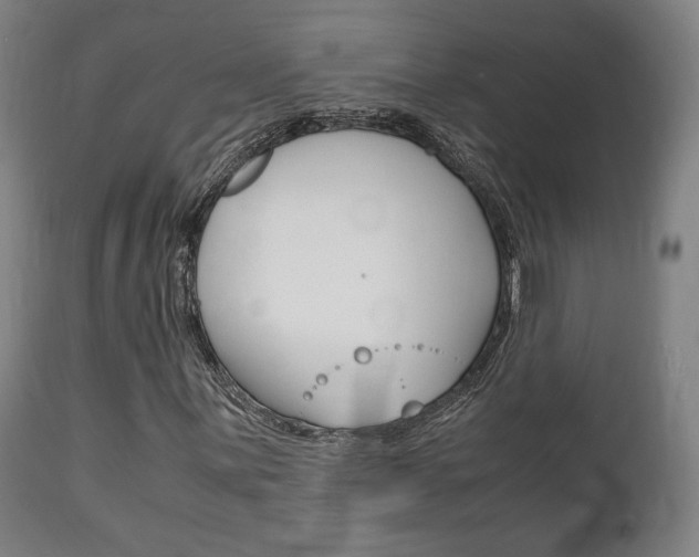 X0000111781059200907230944