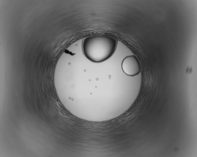 X0000111781060200907230944