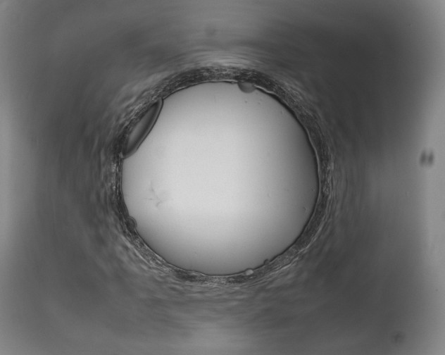 X0000111781061200907230944