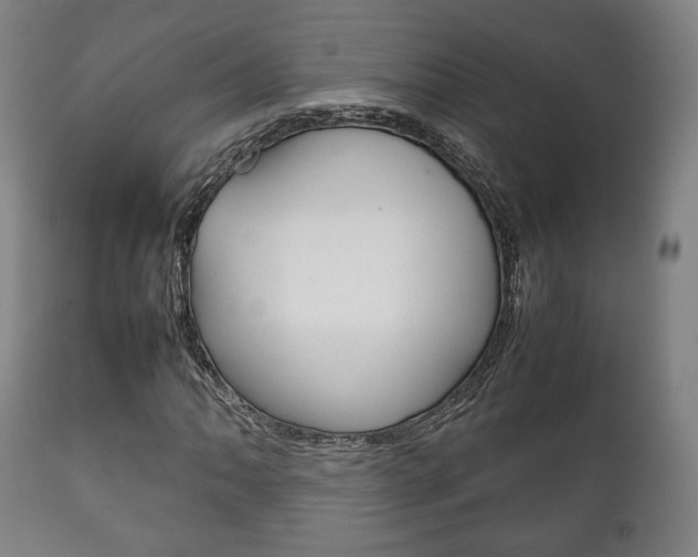 X0000111781062200907230944