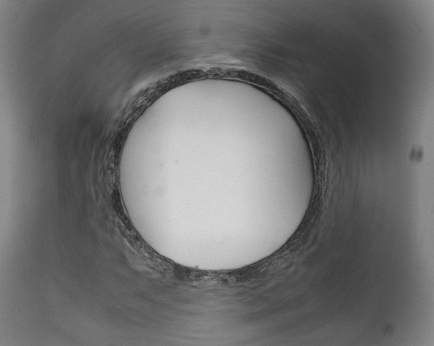 X0000111781063200907230944