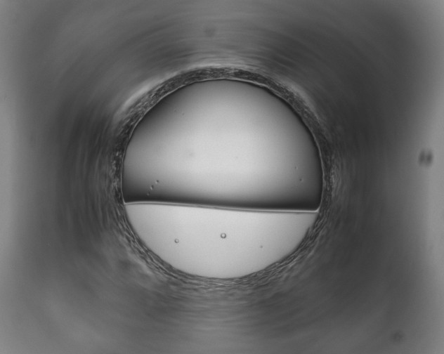 X0000111781064200907230944