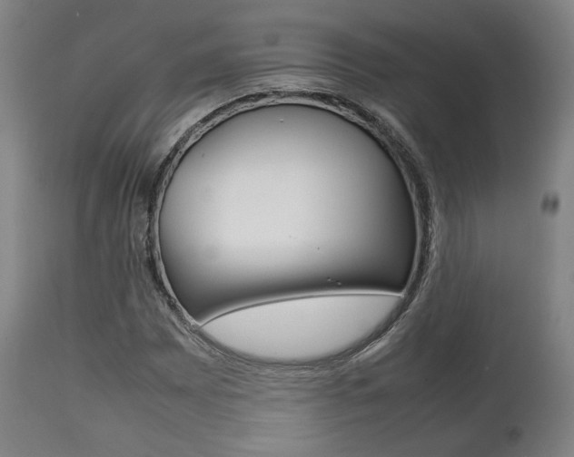 X0000111781065200907230944