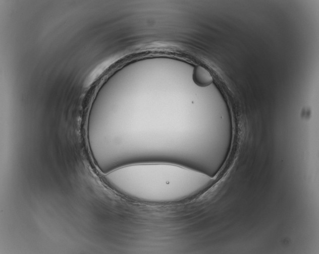 X0000111781066200907230944
