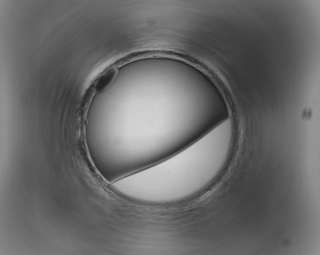 X0000111781069200907230944