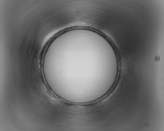 X0000111781070200907230944
