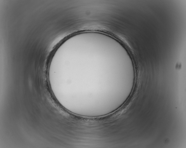 X0000111781071200907230944
