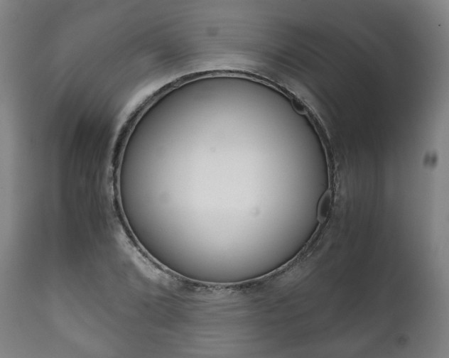 X0000111781072200907230944