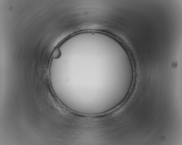 X0000111781073200907230944