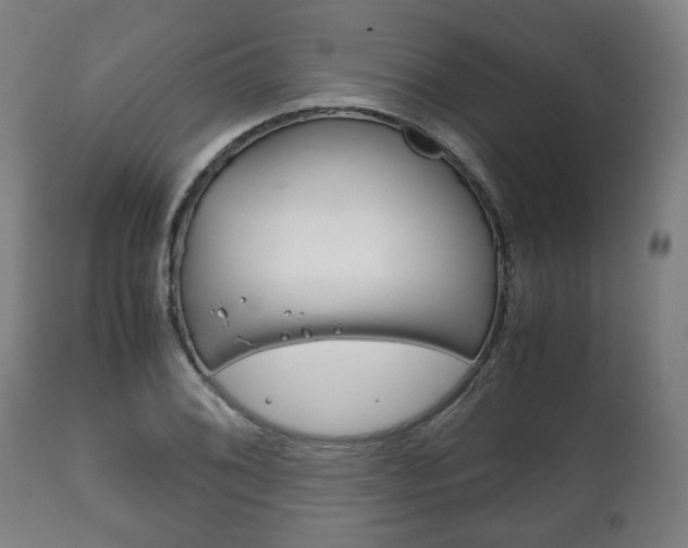 X0000111781076200907230944