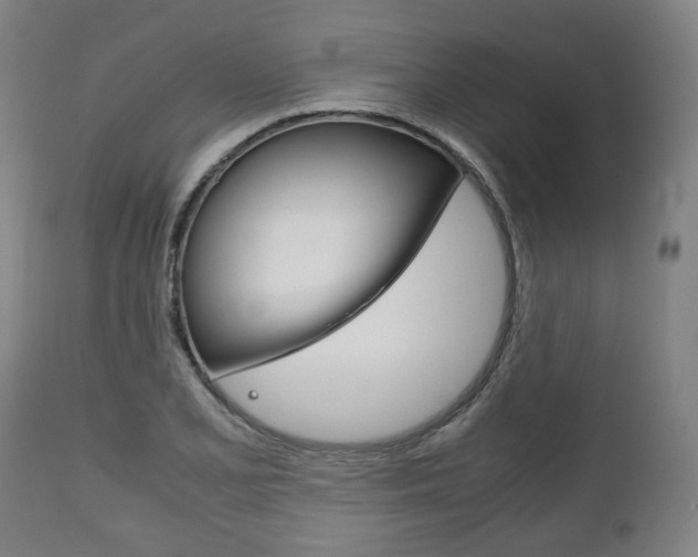X0000111781077200907230944