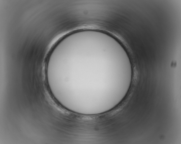 X0000111781078200907230944