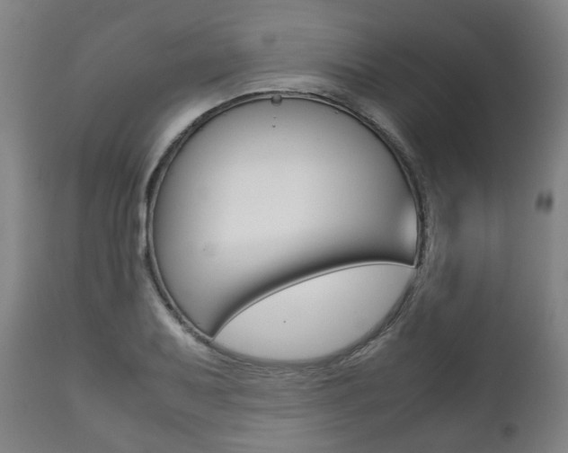 X0000111781079200907230944