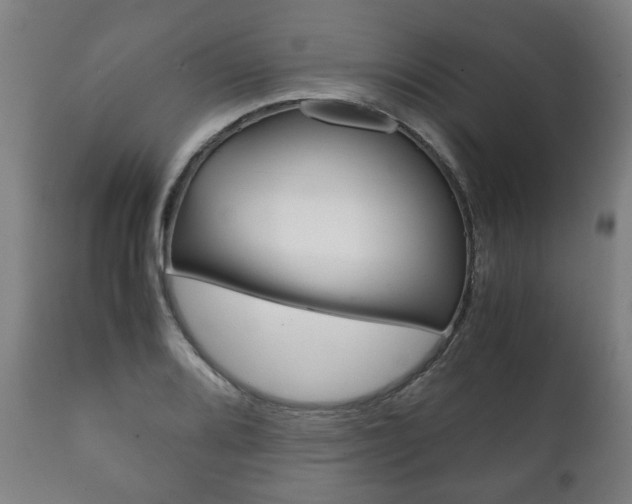X0000111781080200907230944