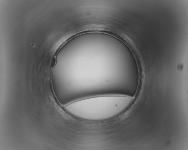 X0000111781081200907230944