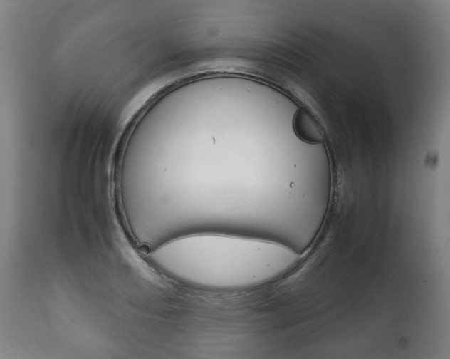X0000111781082200907230944