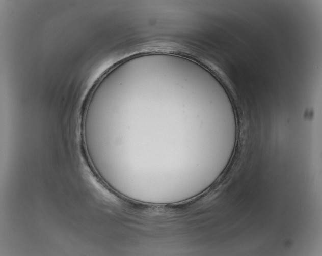 X0000111781083200907230944