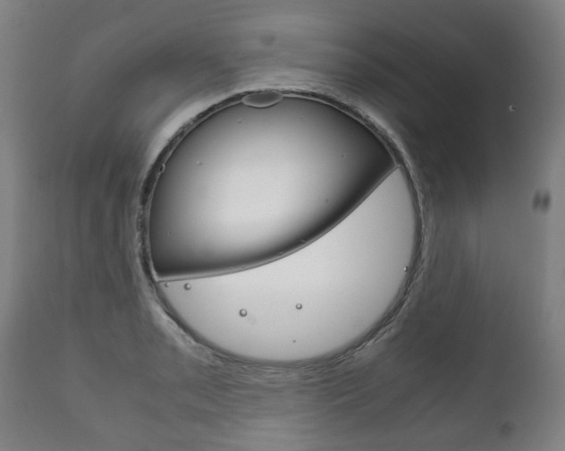 X0000111781085200907230944