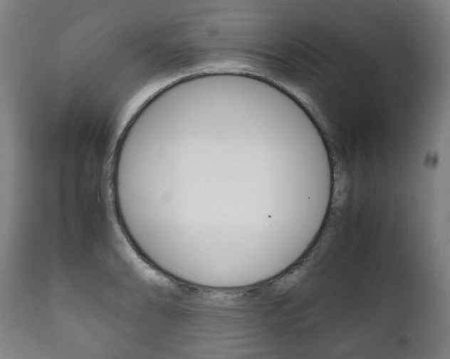 X0000111781086200907230944