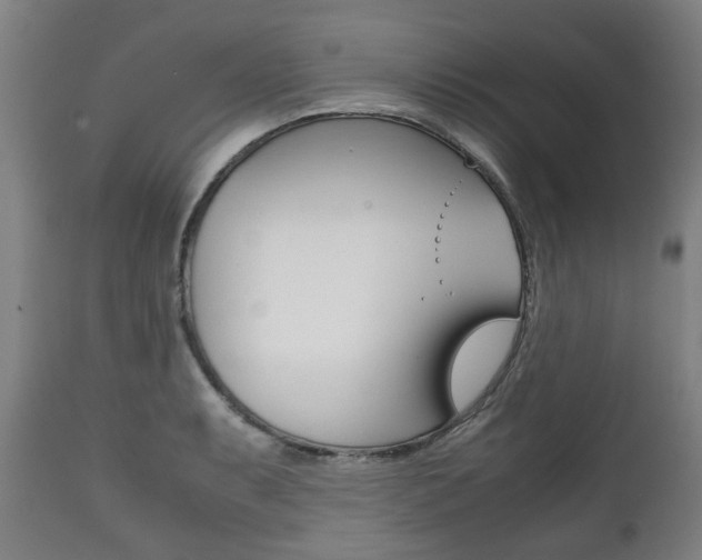 X0000111781087200907230944