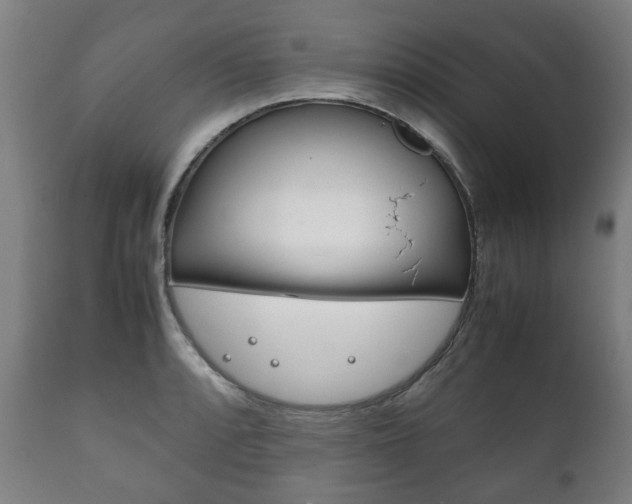 X0000111781088200907230944