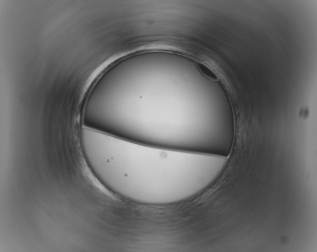 X0000111781092200907230944