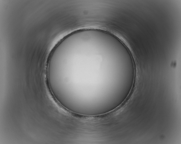 X0000111781093200907230944