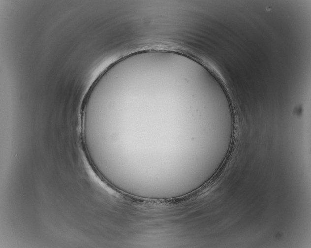 X0000111781095200907230944