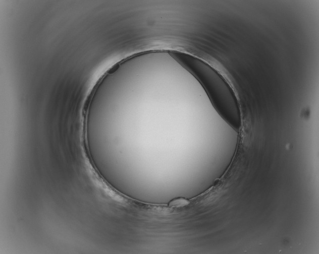 X0000111781096200907230943