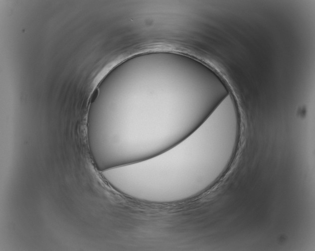 X0000111781097200907230943