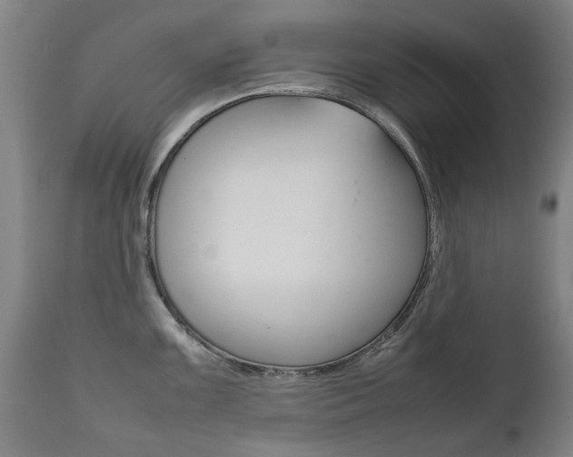 X0000111781099200907230943