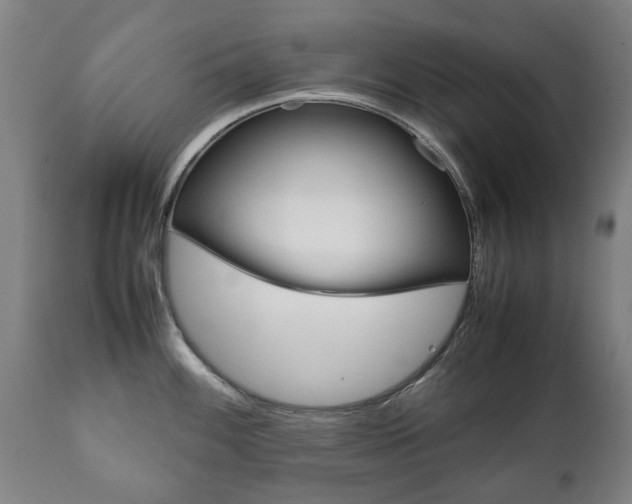 X0000111781100200907230943