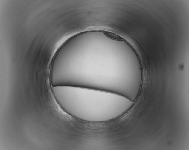 X0000111781102200907230943