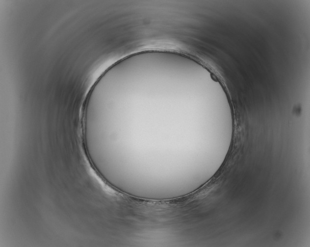 X0000111781103200907230943