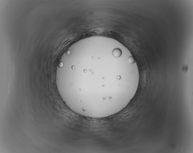 X0000111781105200907230943