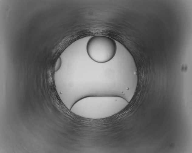 X0000111781106200907230943