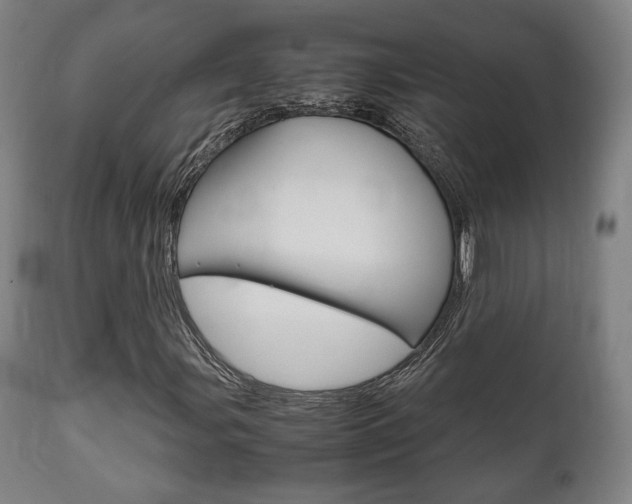 X0000111781107200907230943