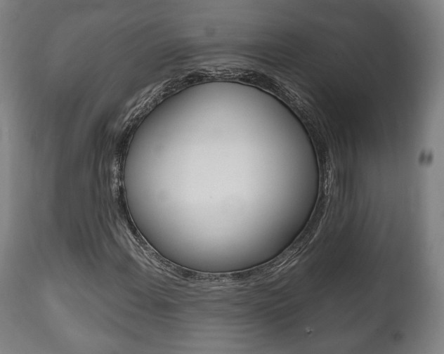 X0000111781108200907230943