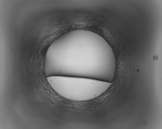 X0000111781109200907230943