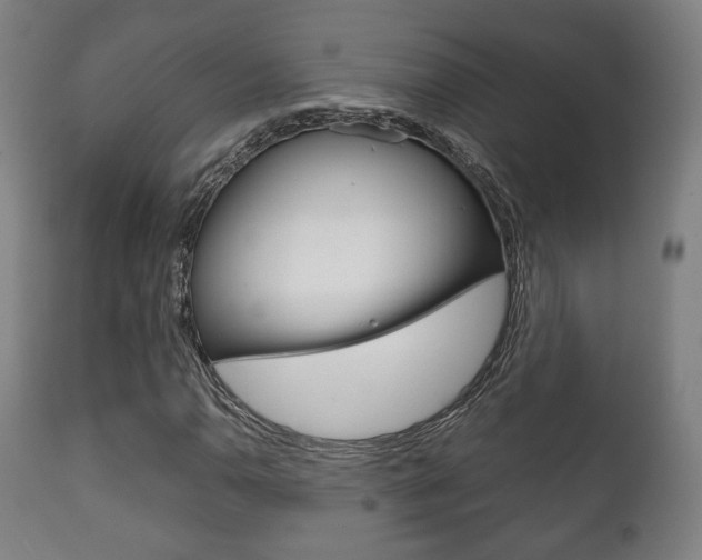 X0000111781110200907230943