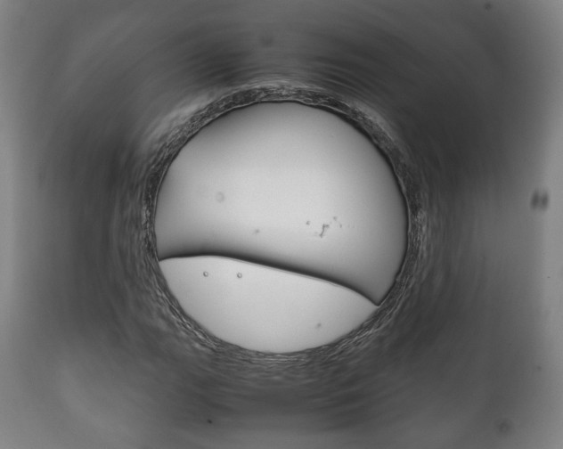 X0000111781111200907230943