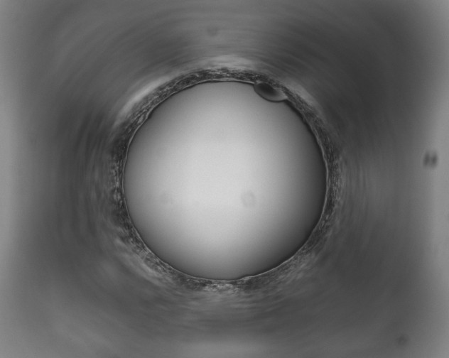 X0000111781112200907230943
