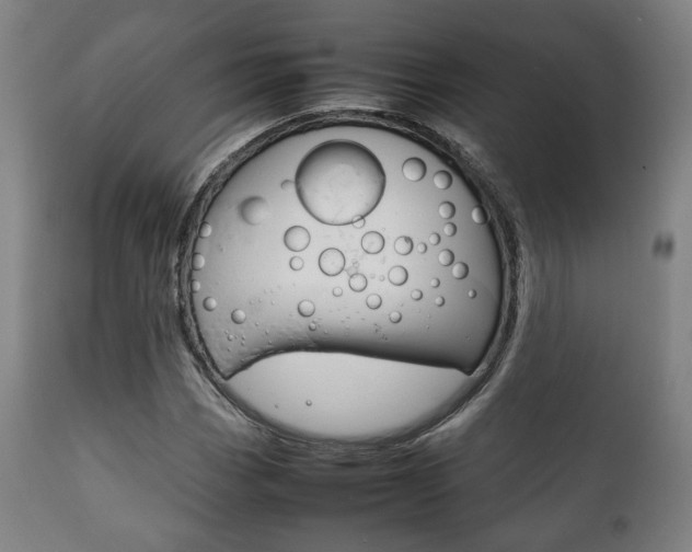 X0000111781113200907230943