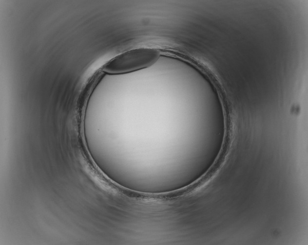 X0000111781114200907230943