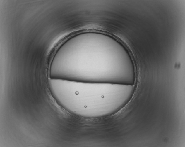 X0000111781115200907230943