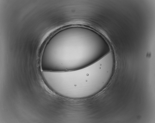 X0000111781116200907230943