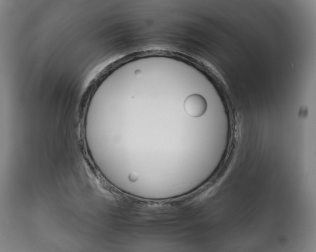 X0000111781117200907230943