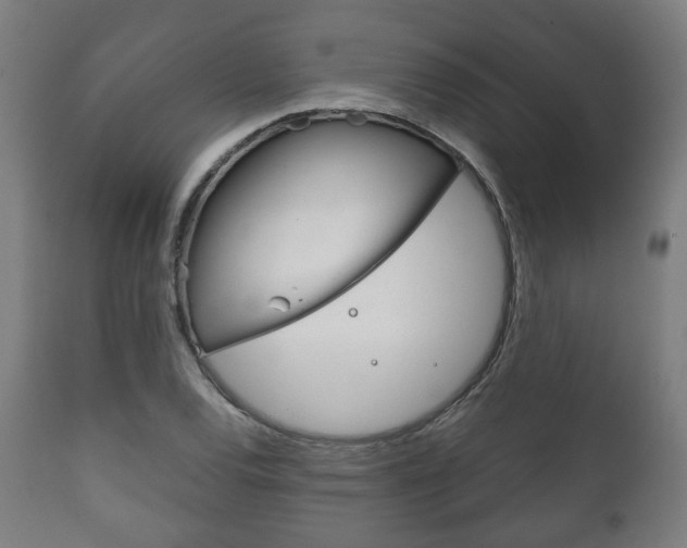 X0000111781120200907230943